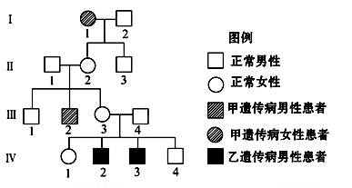 i基因人口_传承红色基因手抄报(3)