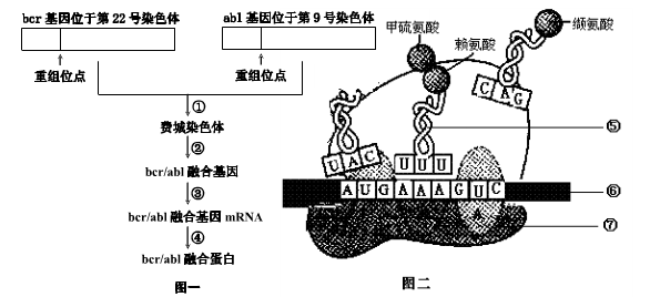 诱析的原理_当她亲眼见到差分机的时候,她被差分机的工作原理吸引,更对分析机的设计产生极(2)