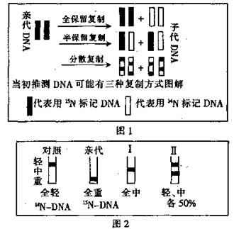 预期a:如果与对照相比,子代i能分辨出1轻1重两条带, 则说明dna传递