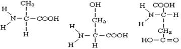 下列依次为丙氨酸,丝氨酸和天门冬氨酸的结构式: 由这三种氨基酸脱水