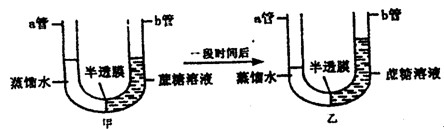 "某同学进行实验,甲图为实验开始状态,乙图."习题详情