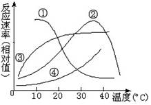 图表示某种哺乳动物消化酶的催化反应速率与温度之间的关系曲线图的是