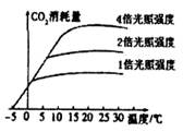 下图表明某植物在三种不同光照下消耗co2