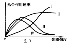 光合速率降低的原因_真光合速率 净光合速率_光合速率降低的原因