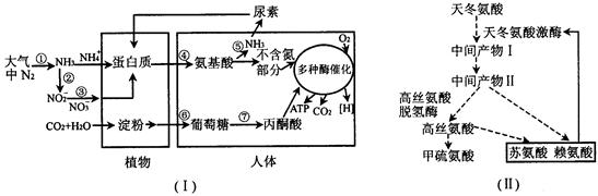 图Ⅰ是自然界中氮循环以及有机物在生物体内代谢的部分过程示意图,请