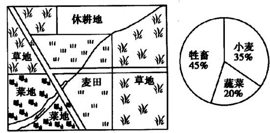 主要农业地域类型的特点及其形成条件知识点 "图是"阿根廷大牧场放