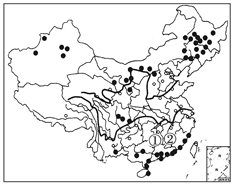 人口密度最高的城市_规划日报217 中国最棒的运动城市,以及夜生活最High的城市