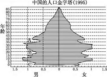 中国各年龄段人口数量_各年龄段人口占比-统计局官员 人口形势异常严峻 人口(3)