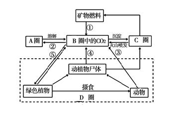 图为"碳循环示意图".读图完成题.