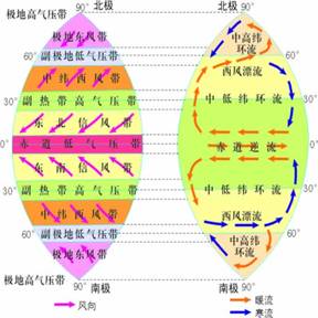 阅读"世界局部海区洋流分布示意图",完成下列问题.