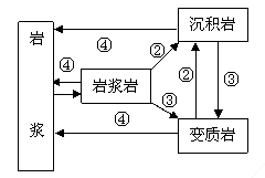 三大类岩石之间可以直接相互转化 c. 三大类岩石和岩浆之间可直接