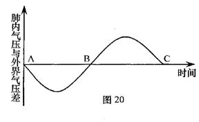 图20是某人在一次平静呼吸中肺内气压的变化曲线,请据