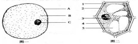 下图为动,植物细胞结构图,据图回答问题