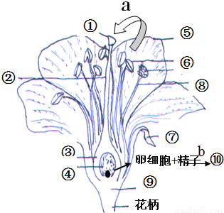 如圖是桃花結構圖,請據圖回答:(1)花的結構中最主要的部分是____和___