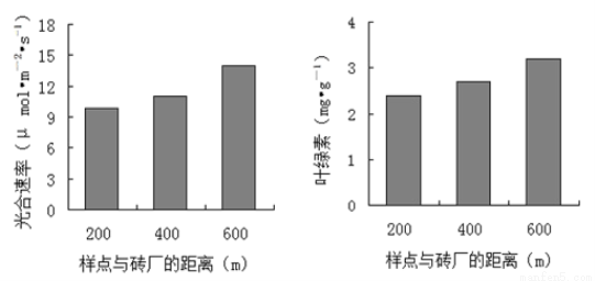 按保护原理分类的有什么_垃圾分类有什么好处(3)