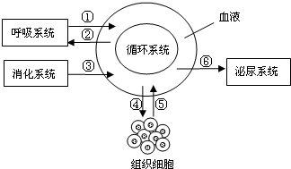 气体交换的原理是什么的作用_o2是什么气体