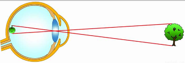 眼睛成像的原理是什么简短_眼睛的成像原理是什么(3)