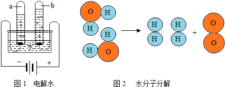 47.图1,2是电解水的实验及电解时水分子分解的示意图.