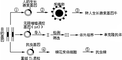 基因工程的核心步骤是构建基因表达载体②