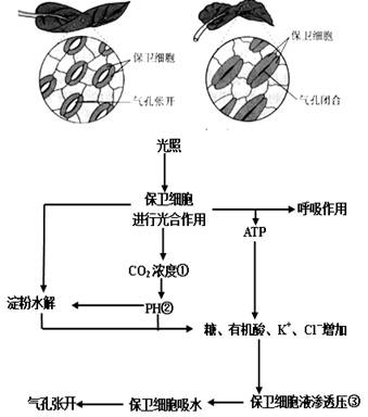 按保护原理分类的有什么_垃圾分类有什么好处