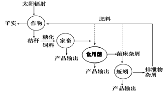 按保护原理分类的有什么_垃圾分类有什么好处(3)