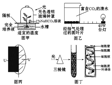 根据光合作用相关实验和细胞代谢方面的知识回答下图有关问题